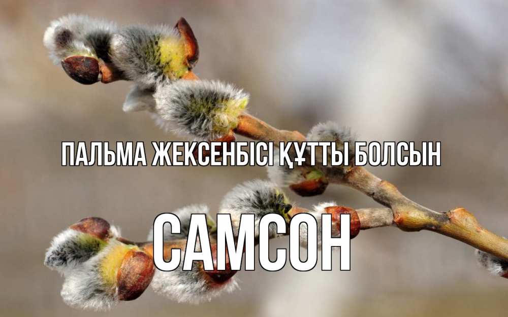Күн сайын ашық хат с именем, Самсон Пальма жексенбісі құтты болсын Верба Онлайн тегін жүктеп алу тілектері бар керемет карта 
