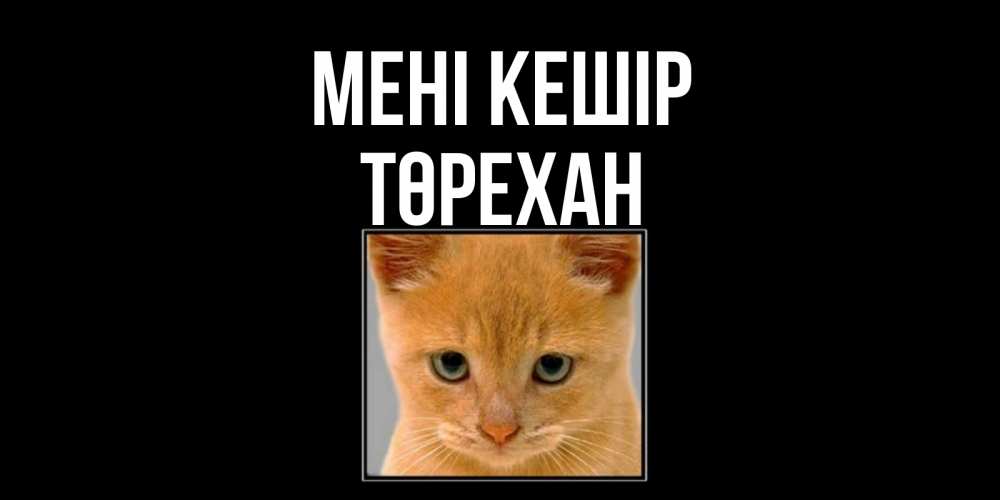 Күн сайын ашық хат с именем, Төрехан Мені кешір рыжий грустный кот просит прощения Онлайн тегін жүктеп алу тілектері бар керемет карта 