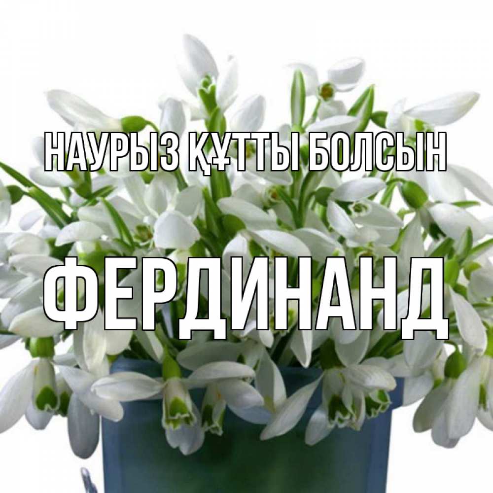 Күн сайын ашық хат с именем, Фердинанд Наурыз құтты болсын цветы к наурызу Онлайн тегін жүктеп алу тілектері бар керемет карта 
