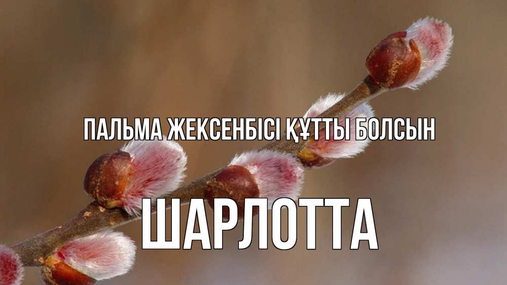 Күн сайын ашық хат с именем, Шарлотта Пальма жексенбісі құтты болсын верба Онлайн тегін жүктеп алу тілектері бар керемет карта 