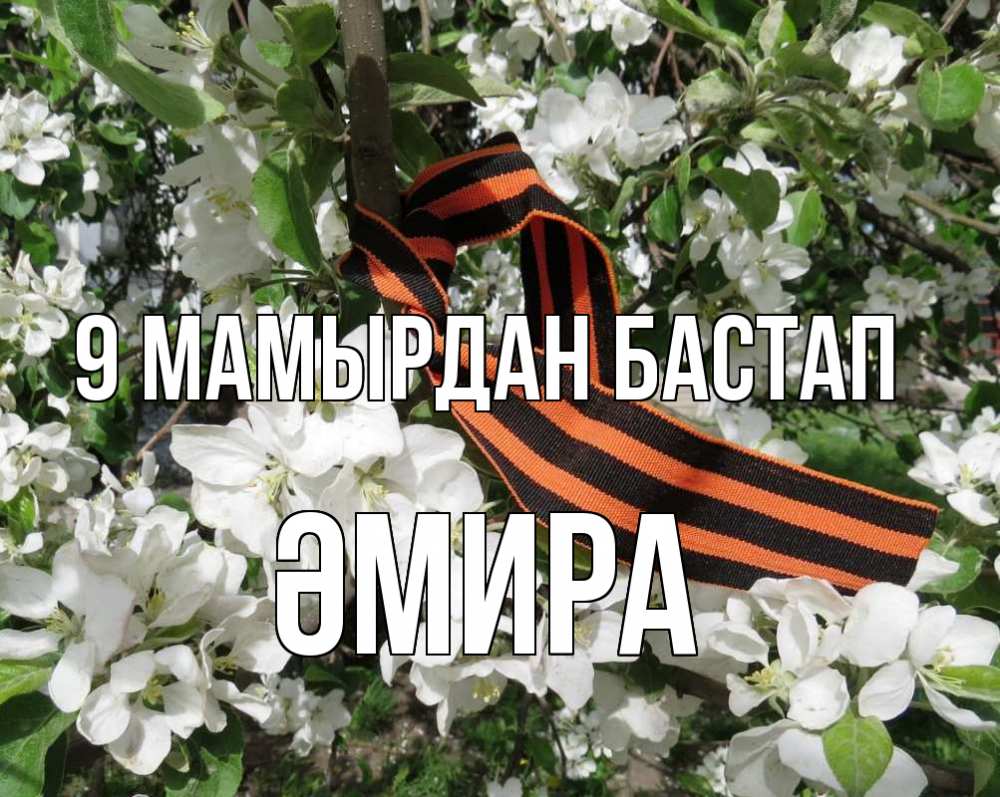 Күн сайын ашық хат с именем, ӘМИРА 9 мамырдан бастап 9 мая Онлайн тегін жүктеп алу тілектері бар керемет карта 