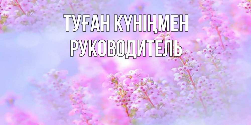 Күн сайын ашық хат с именем, Руководитель Туған күніңмен красивая открытка с мелкими цветами Онлайн тегін жүктеп алу тілектері бар керемет карта 