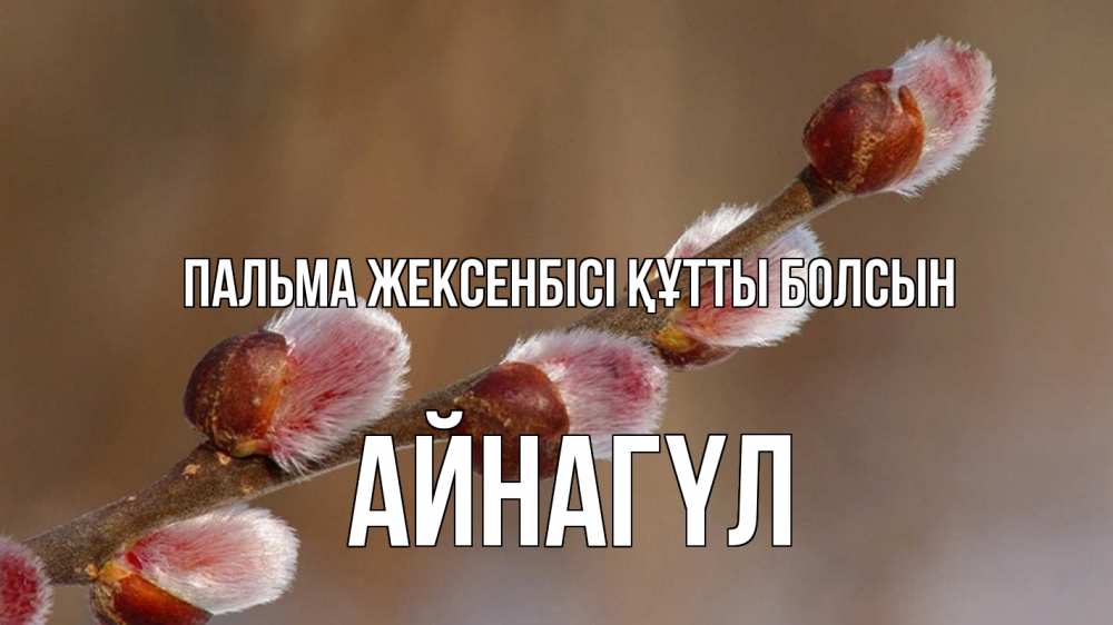 Күн сайын ашық хат с именем, АЙНАГҮЛ Пальма жексенбісі құтты болсын верба Онлайн тегін жүктеп алу тілектері бар керемет карта 