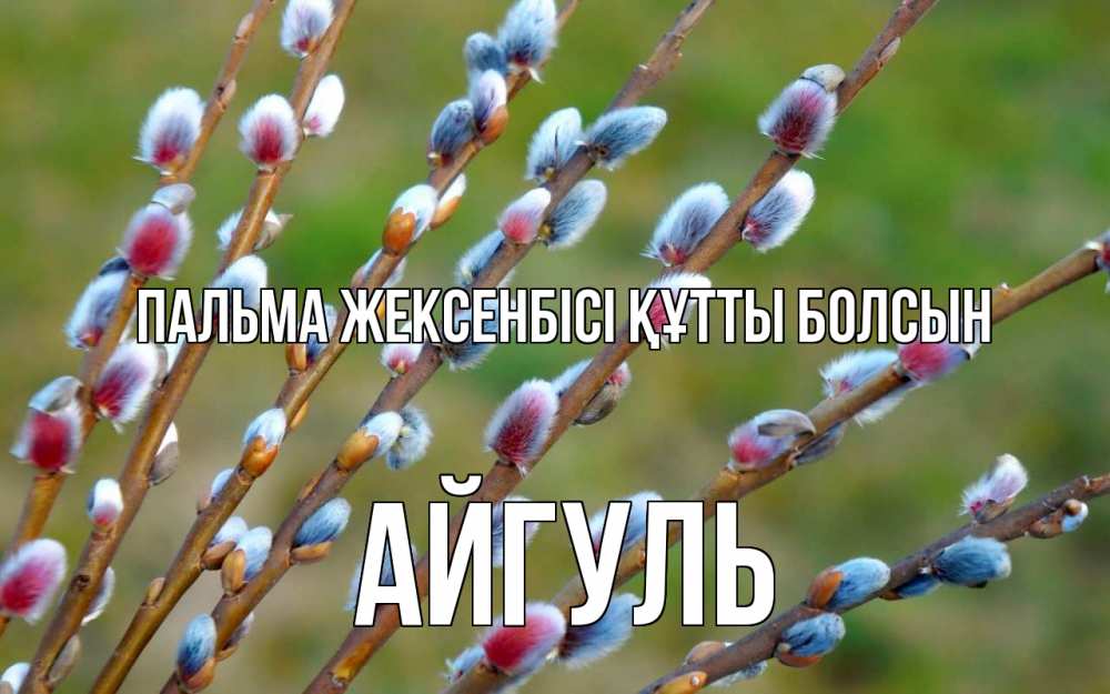 Күн сайын ашық хат с именем, Айгуль Пальма жексенбісі құтты болсын верба Онлайн тегін жүктеп алу тілектері бар керемет карта 
