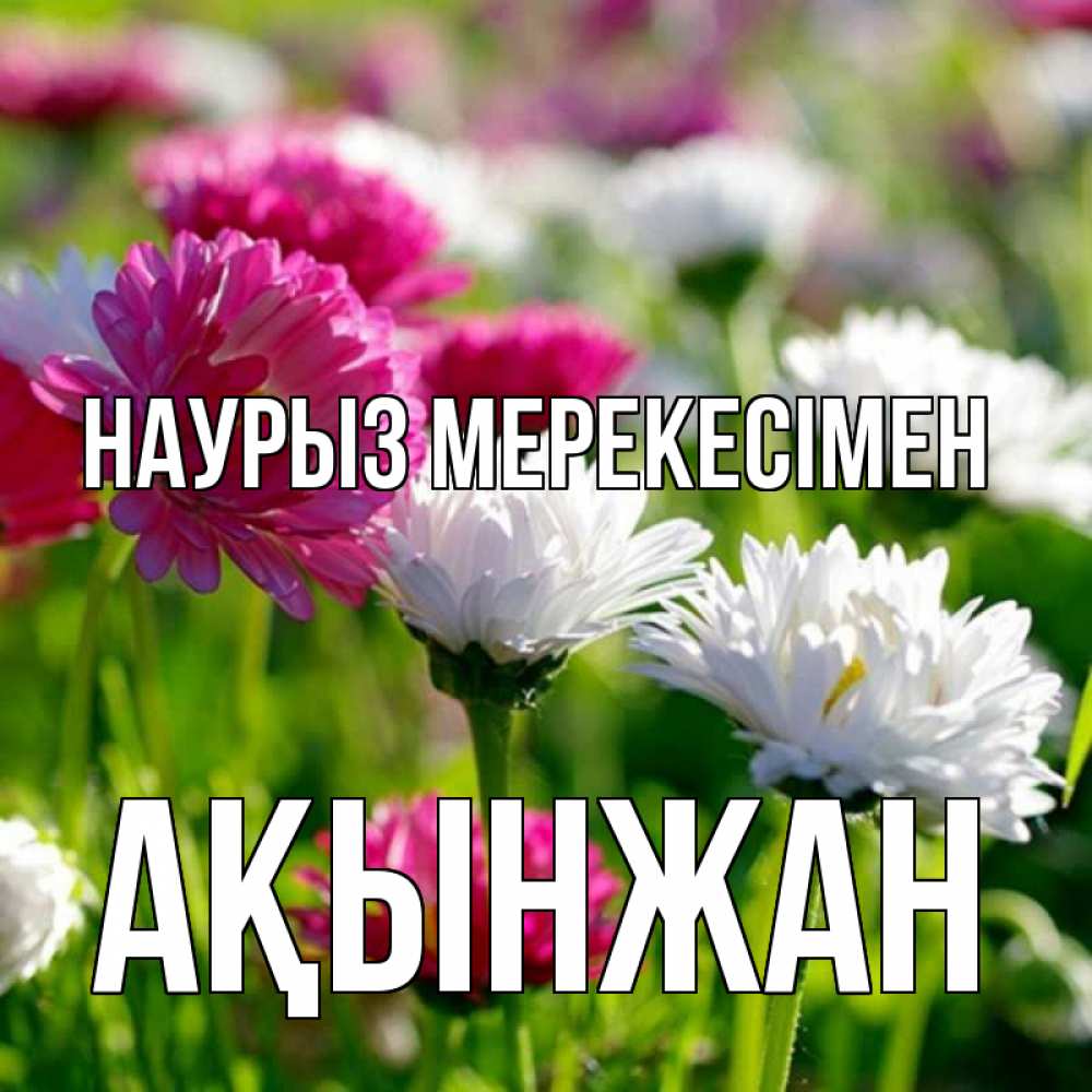Күн сайын ашық хат с именем, Ақынжан Наурыз мерекесімен праздник весны наурыз красота Онлайн тегін жүктеп алу тілектері бар керемет карта 