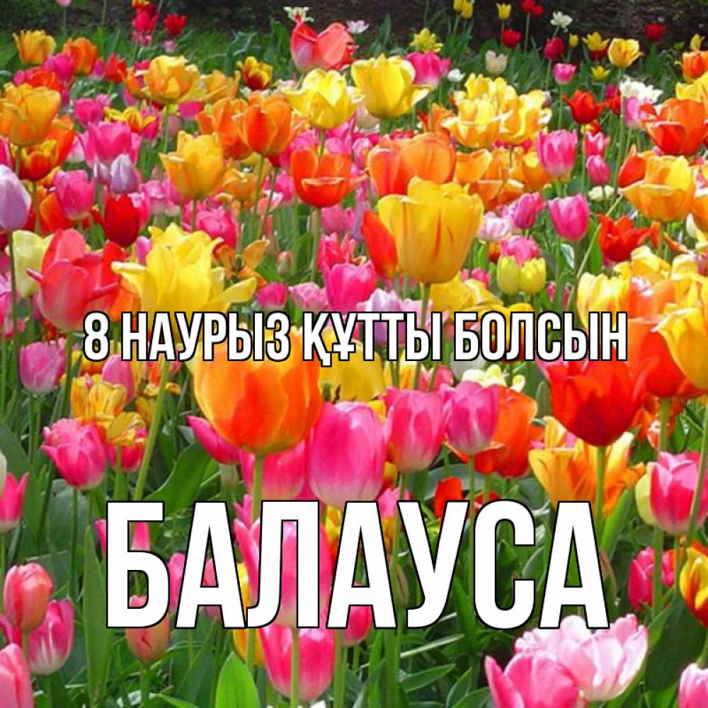 Күн сайын ашық хат с именем, БАЛАУСА 8 наурыз құтты болсын на международный женский день Онлайн тегін жүктеп алу тілектері бар керемет карта 