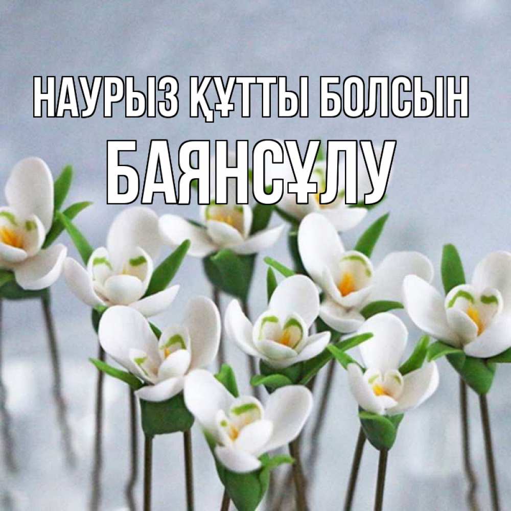 Күн сайын ашық хат с именем, БАЯНСҰЛУ Наурыз құтты болсын весенние цветы Онлайн тегін жүктеп алу тілектері бар керемет карта 