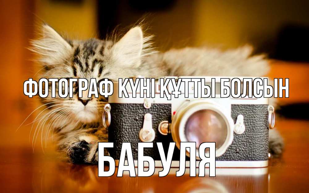 Күн сайын ашық хат с именем, Бабуля Фотограф күні құтты болсын с днем фотографа Онлайн тегін жүктеп алу тілектері бар керемет карта 