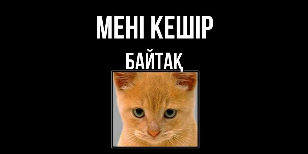 Күн сайын ашық хат с именем, Байтақ Мені кешір рыжий грустный кот просит прощения Онлайн тегін жүктеп алу тілектері бар керемет карта 