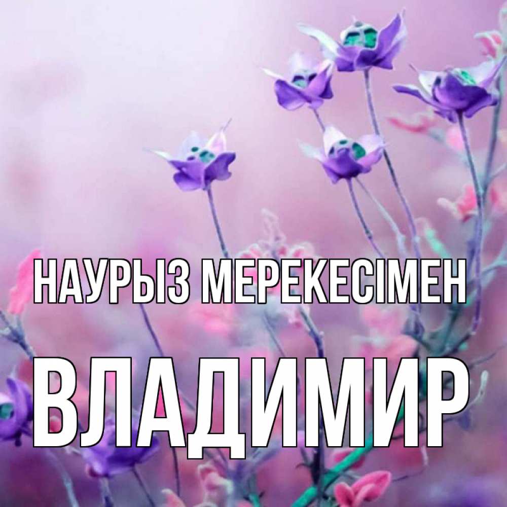 Күн сайын ашық хат с именем, Владимир Наурыз мерекесімен международный женский день 2 Онлайн тегін жүктеп алу тілектері бар керемет карта 