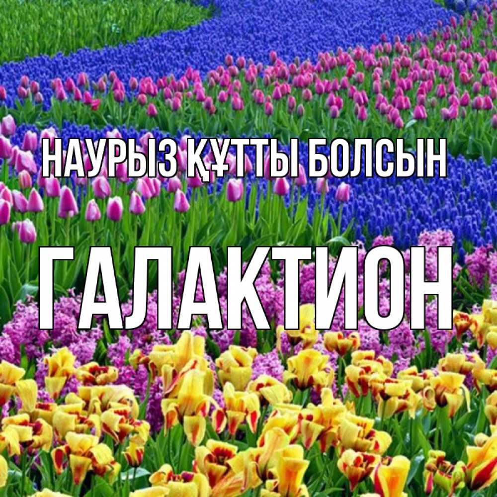 Күн сайын ашық хат с именем, Галактион Наурыз құтты болсын цветы Онлайн тегін жүктеп алу тілектері бар керемет карта 