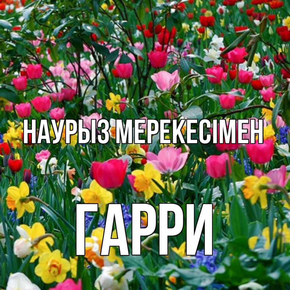Күн сайын ашық хат с именем, Гарри Наурыз мерекесімен с наурызом праздником весны поздравления для женщины Онлайн тегін жүктеп алу тілектері бар керемет карта 