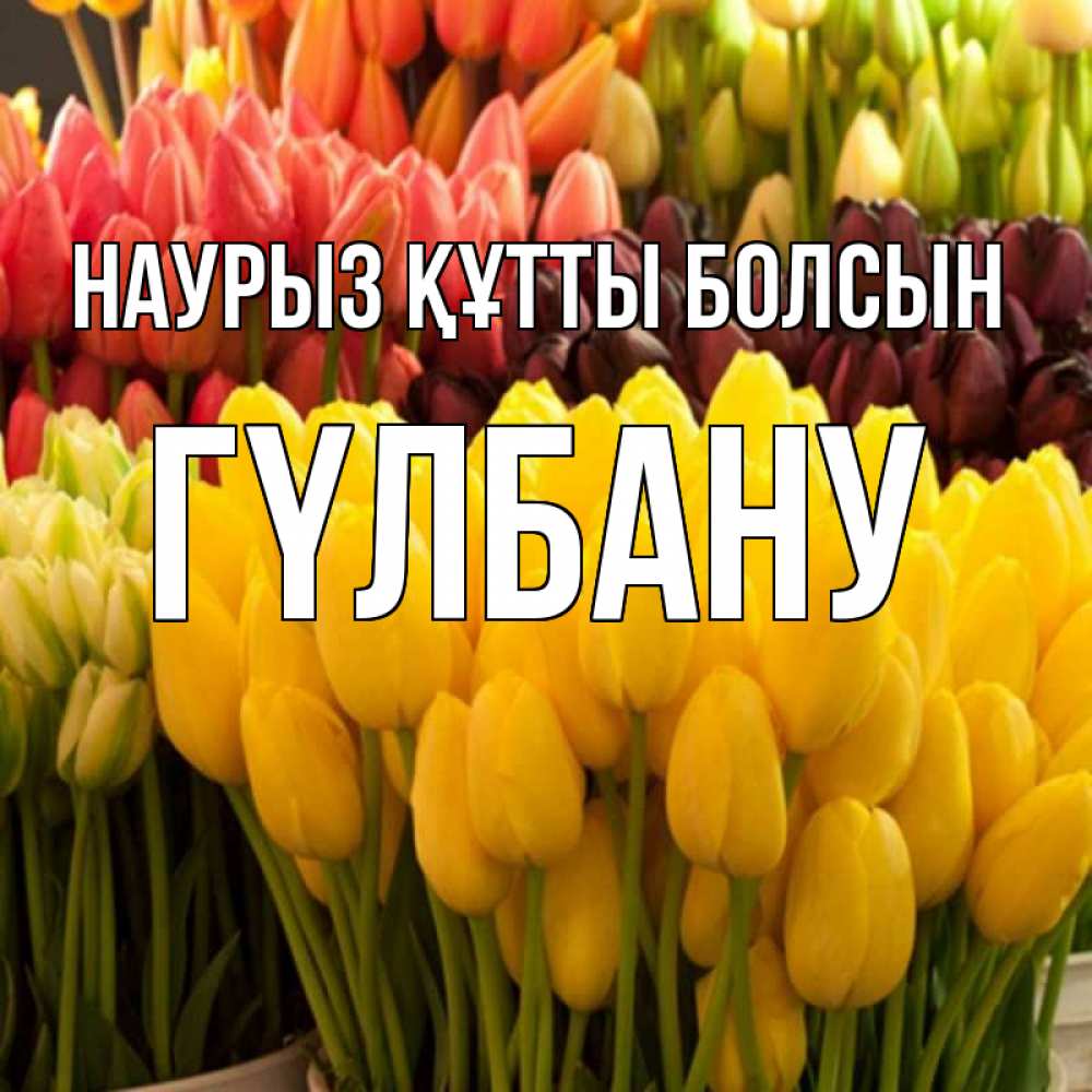 Күн сайын ашық хат с именем, ГҮЛБАНУ Наурыз құтты болсын цветы Онлайн тегін жүктеп алу тілектері бар керемет карта 