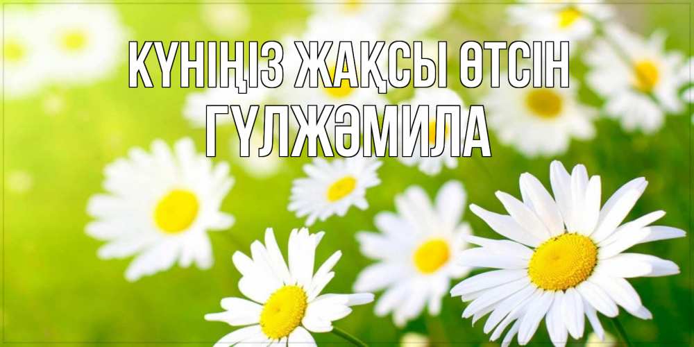 Күн сайын ашық хат с именем, ГҮЛЖӘМИЛА Күніңіз жақсы өтсін открытка с ромашками на зеленом фоне Онлайн тегін жүктеп алу тілектері бар керемет карта 