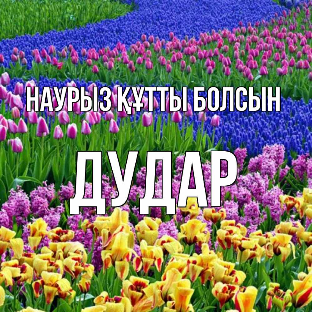 Күн сайын ашық хат с именем, Дудар Наурыз құтты болсын цветы Онлайн тегін жүктеп алу тілектері бар керемет карта 
