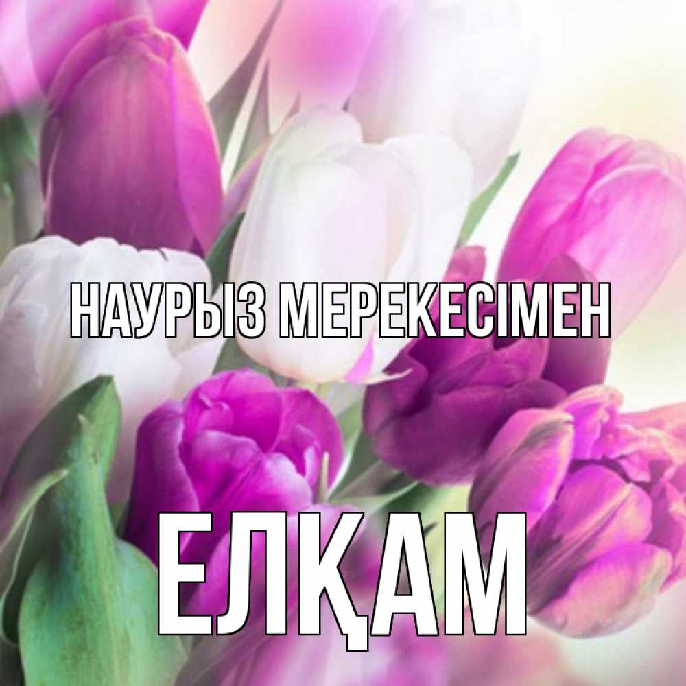 Күн сайын ашық хат с именем, Елқам Наурыз мерекесімен весна 1 Онлайн тегін жүктеп алу тілектері бар керемет карта 