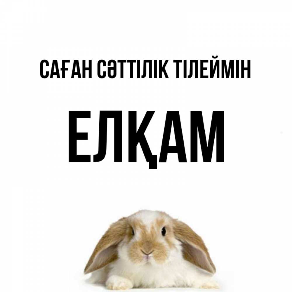 Күн сайын ашық хат с именем, Елқам Саған сәттілік тілеймін открытки с произвольным текстом который можно вставить в открытку и создать ее самостоятельно бесплатно онлайн Онлайн тегін жүктеп алу тілектері бар керемет карта 