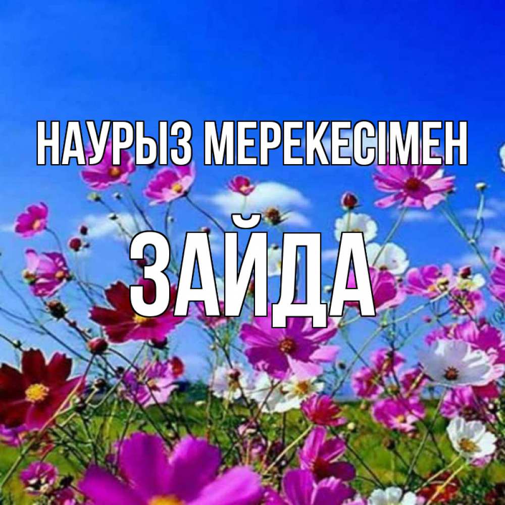Күн сайын ашық хат с именем, ЗАЙДА Наурыз мерекесімен цветы Онлайн тегін жүктеп алу тілектері бар керемет карта 