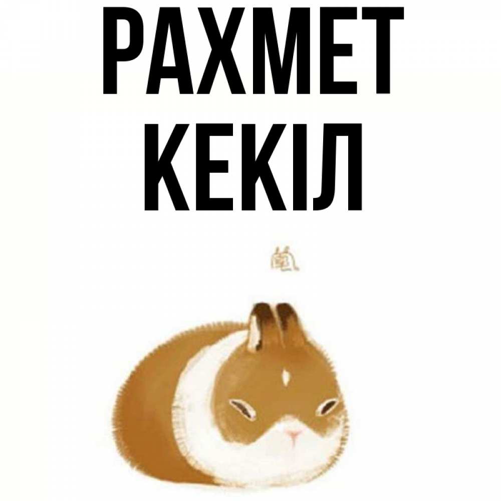 Күн сайын ашық хат с именем, Кекіл рахмет коричнево белый домашний питомец Онлайн тегін жүктеп алу тілектері бар керемет карта 
