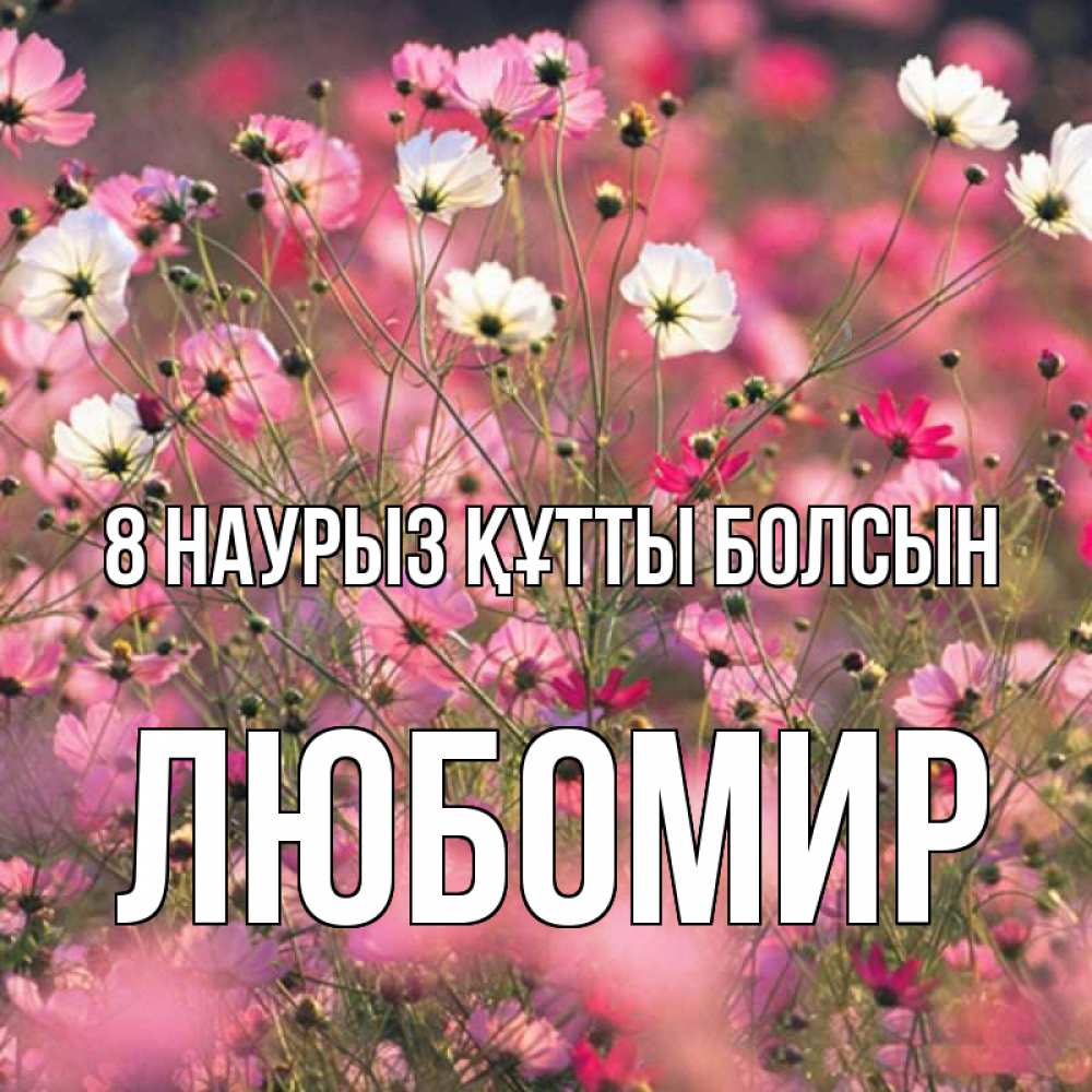 Күн сайын ашық хат с именем, Любомир 8 наурыз құтты болсын красиво 1 Онлайн тегін жүктеп алу тілектері бар керемет карта 
