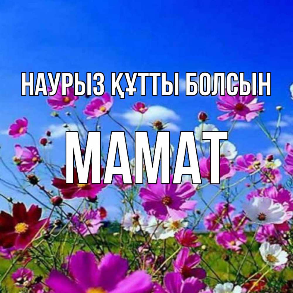 Күн сайын ашық хат с именем, МАМАТ Наурыз құтты болсын цветы Онлайн тегін жүктеп алу тілектері бар керемет карта 