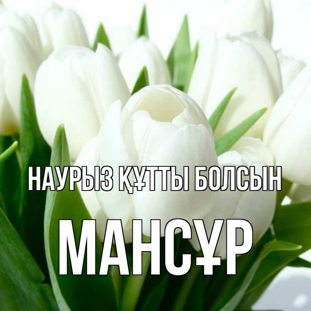Күн сайын ашық хат с именем, МАНСҰР Наурыз құтты болсын цветы Онлайн тегін жүктеп алу тілектері бар керемет карта 