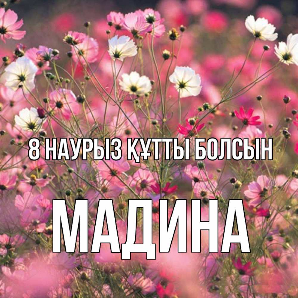 Күн сайын ашық хат с именем, Мадина 8 наурыз құтты болсын красиво 1 Онлайн тегін жүктеп алу тілектері бар керемет карта 