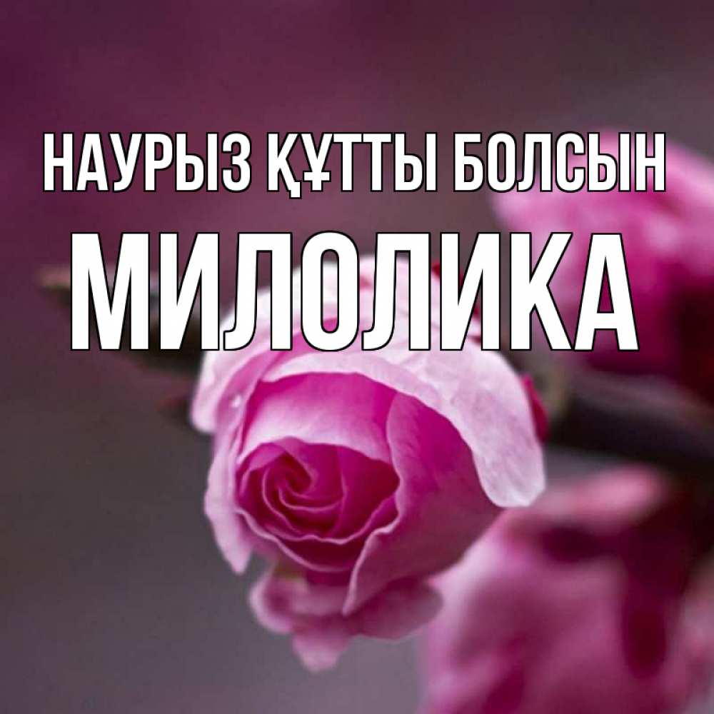 Күн сайын ашық хат с именем, Милолика Наурыз құтты болсын весна Онлайн тегін жүктеп алу тілектері бар керемет карта 