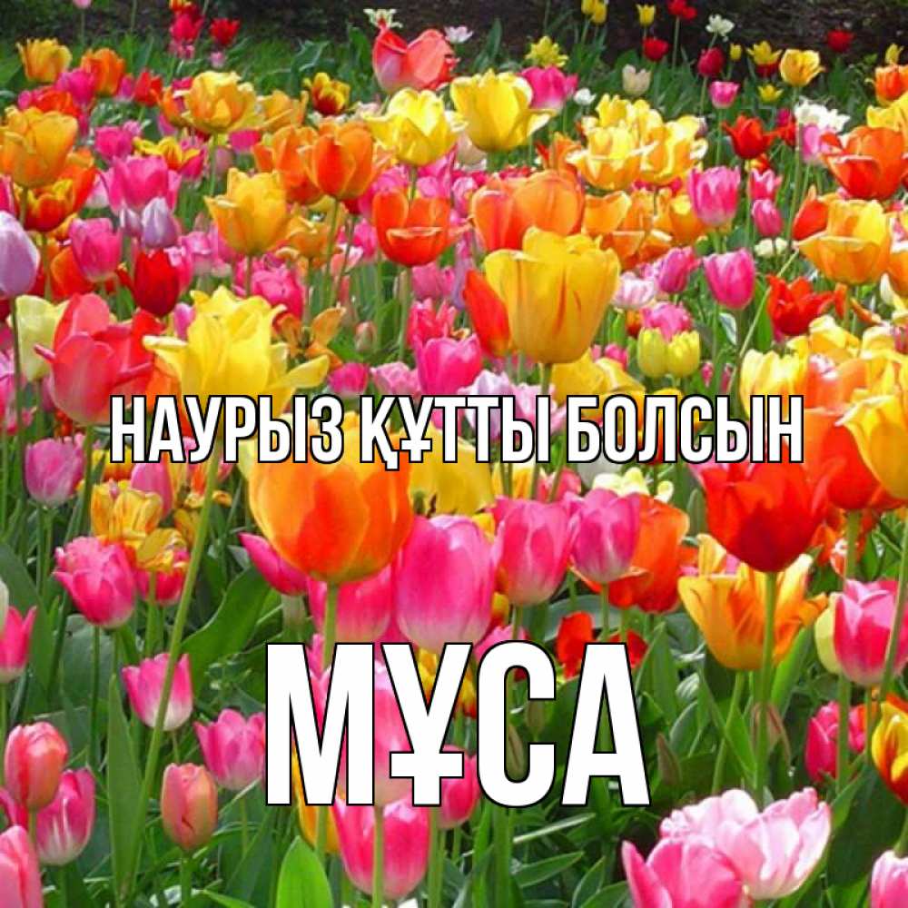 Күн сайын ашық хат с именем, МҰСА Наурыз құтты болсын на наурыз  ура ура Онлайн тегін жүктеп алу тілектері бар керемет карта 