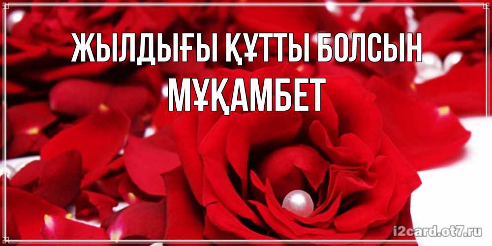 Күн сайын ашық хат с именем, МҰҚАМБЕТ Жылдығы құтты болсын роза с жемчужиной на открытке для любимых Онлайн тегін жүктеп алу тілектері бар керемет карта 
