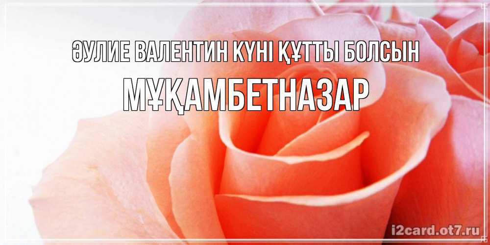 Күн сайын ашық хат с именем, Мұқамбетназар Әулие Валентин күні құтты болсын открытка на день Святого Валентина с розовой розой Онлайн тегін жүктеп алу тілектері бар керемет карта 