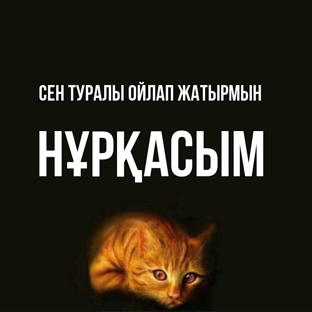 Күн сайын ашық хат с именем, НҰРҚАСЫМ Сен туралы ойлап жатырмын рыжий Онлайн тегін жүктеп алу тілектері бар керемет карта 