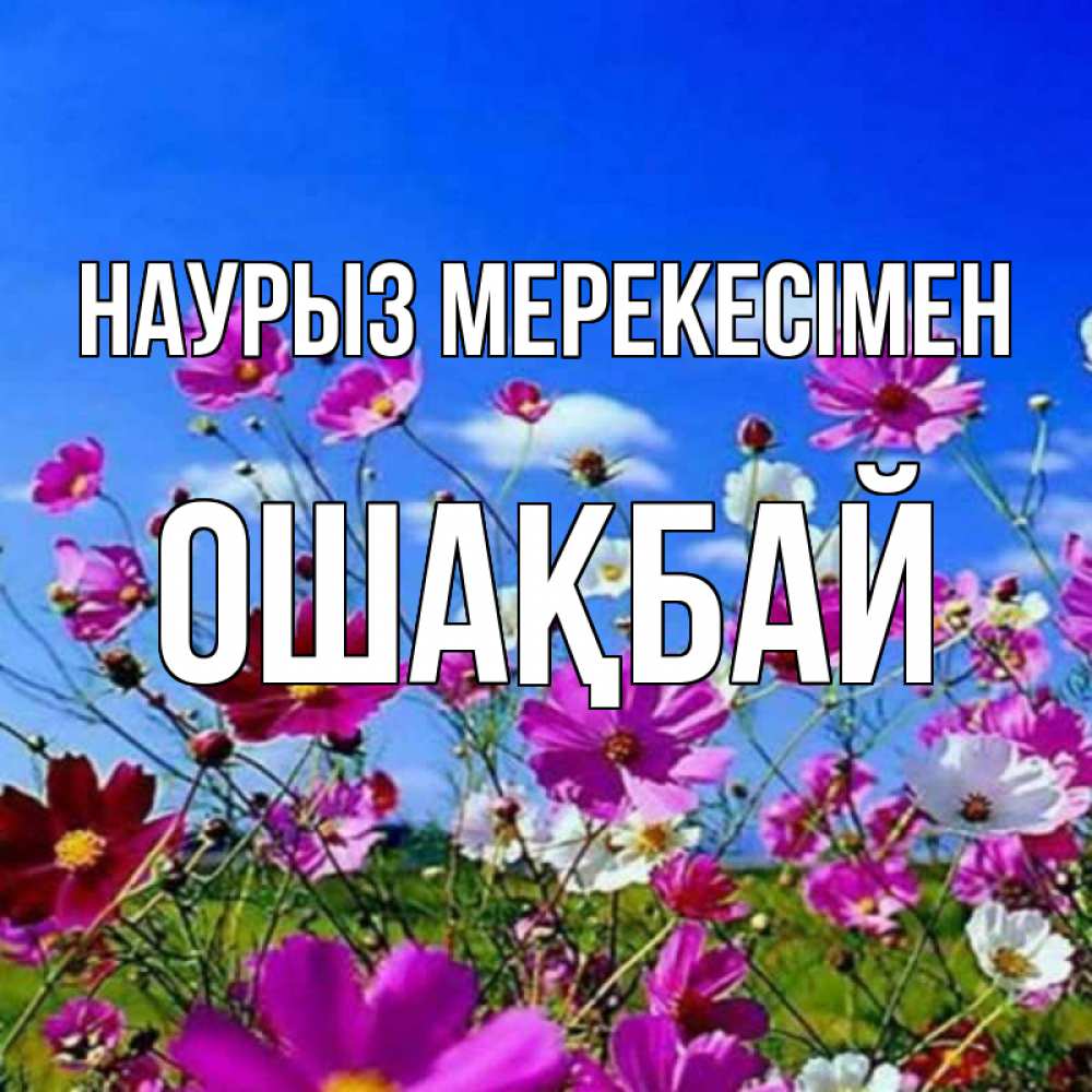 Күн сайын ашық хат с именем, ОШАҚБАЙ Наурыз мерекесімен цветы Онлайн тегін жүктеп алу тілектері бар керемет карта 