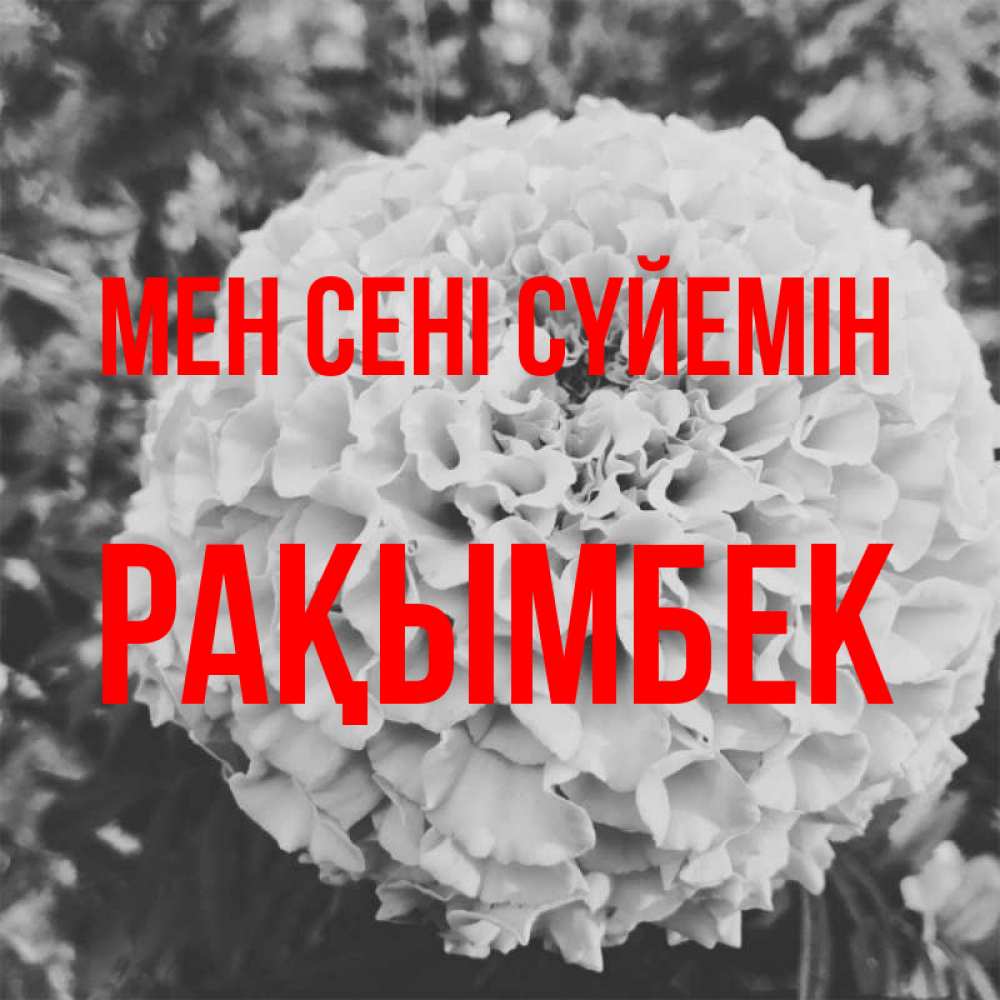 Күн сайын ашық хат с именем, Рақымбек Мен сені сүйемін подпись Онлайн тегін жүктеп алу тілектері бар керемет карта 
