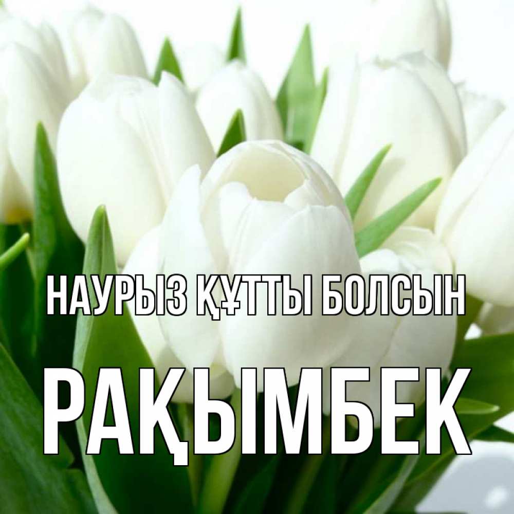 Күн сайын ашық хат с именем, Рақымбек Наурыз құтты болсын цветы Онлайн тегін жүктеп алу тілектері бар керемет карта 