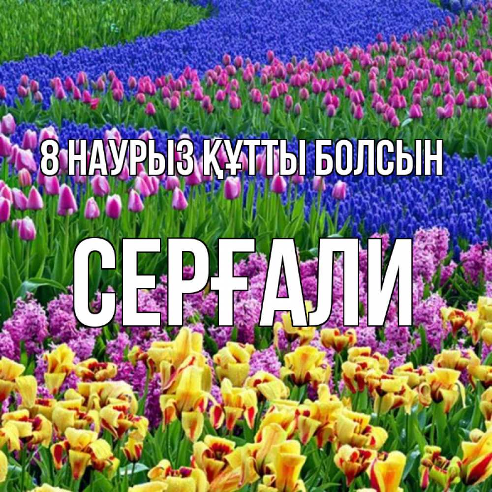 Күн сайын ашық хат с именем, СЕРҒАЛИ 8 наурыз құтты болсын цветы Онлайн тегін жүктеп алу тілектері бар керемет карта 