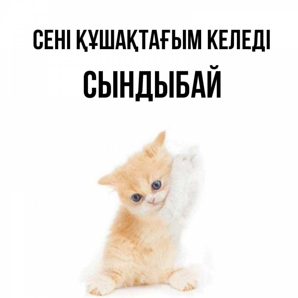 Күн сайын ашық хат с именем, СЫНДЫБАЙ сені құшақтағым келеді я хочу очень скорее обнимаешек Онлайн тегін жүктеп алу тілектері бар керемет карта 
