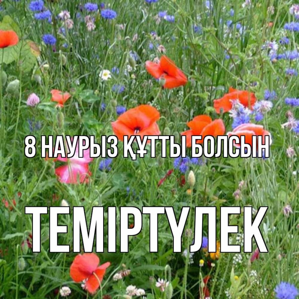 Күн сайын ашық хат с именем, ТЕМІРТҮЛЕК 8 наурыз құтты болсын международный женский день 4 Онлайн тегін жүктеп алу тілектері бар керемет карта 