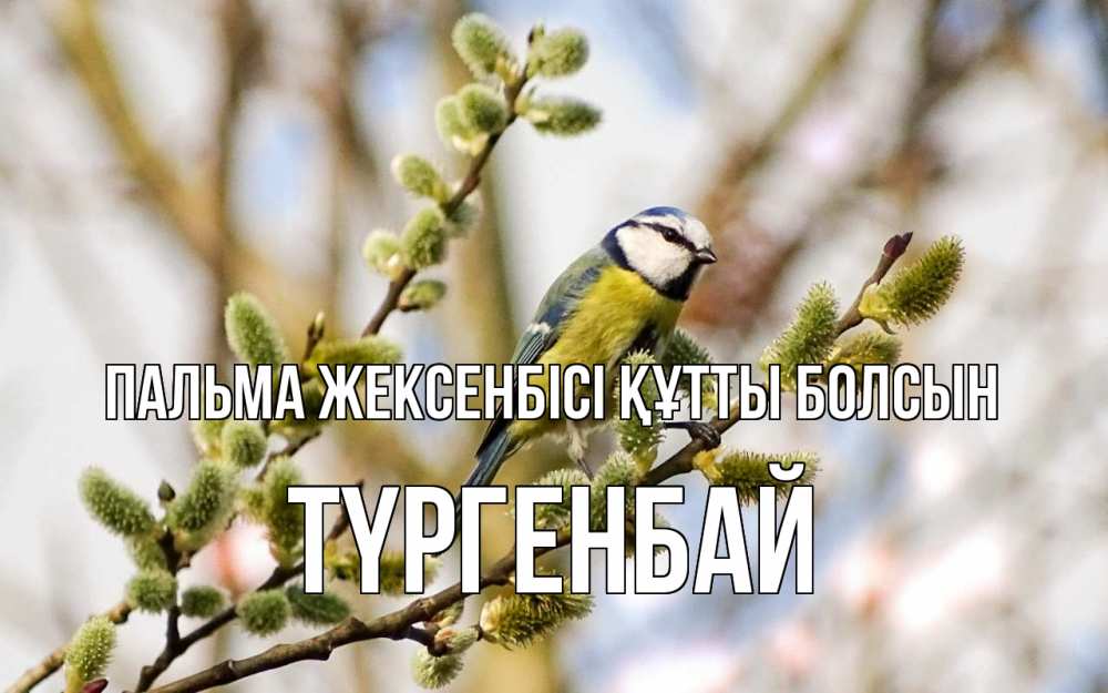 Күн сайын ашық хат с именем, ТҮРГЕНБАЙ Пальма жексенбісі құтты болсын верба Онлайн тегін жүктеп алу тілектері бар керемет карта 