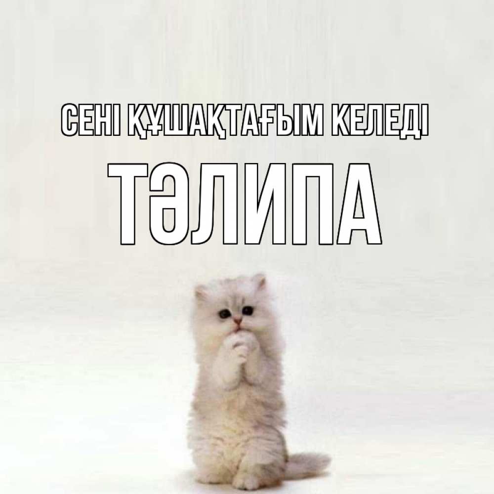 Күн сайын ашық хат с именем, ТӘЛИПА сені құшақтағым келеді открытки с креативными подписями Онлайн тегін жүктеп алу тілектері бар керемет карта 