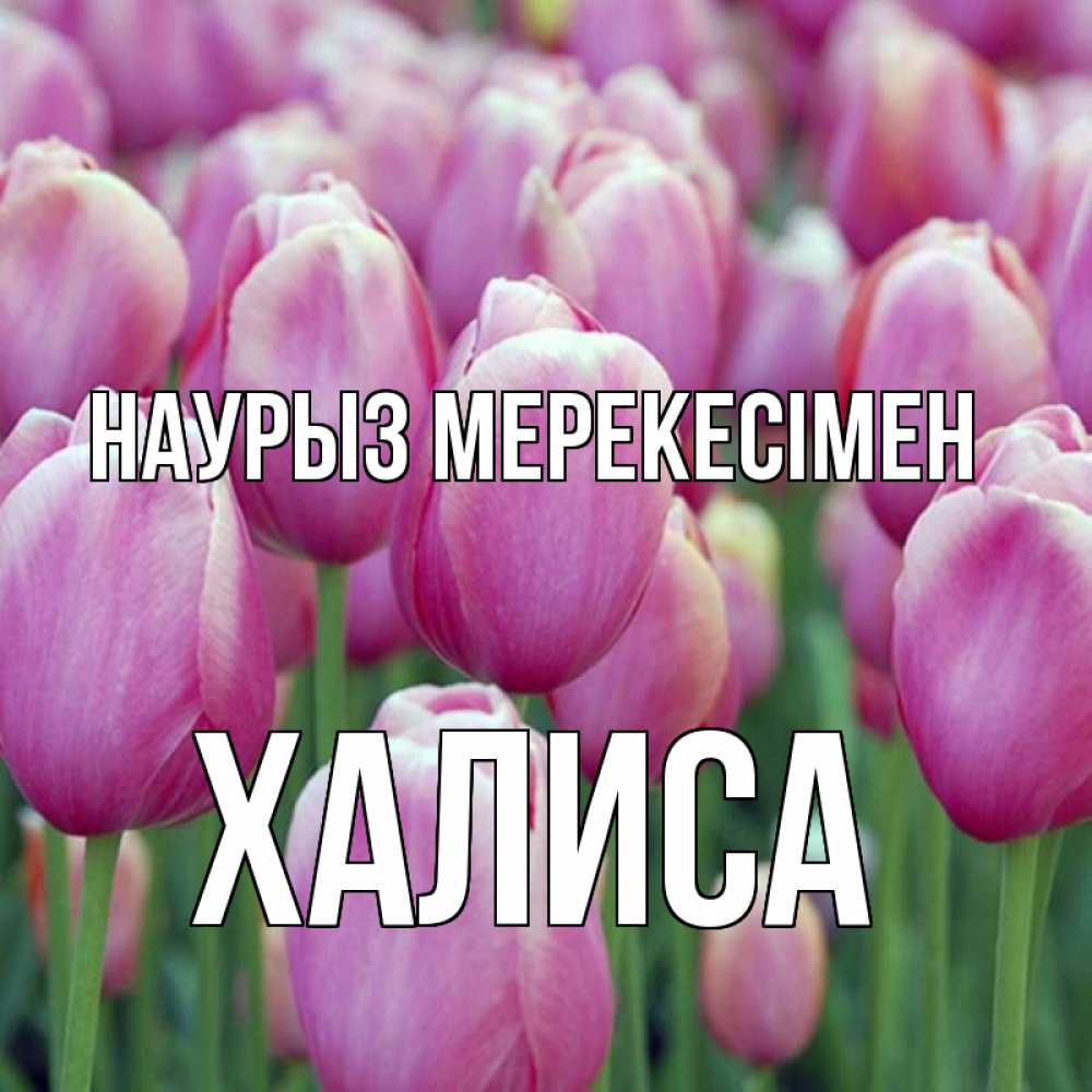 Күн сайын ашық хат с именем, ХАЛИСА Наурыз мерекесімен праздник весны наурыз 69 Онлайн тегін жүктеп алу тілектері бар керемет карта 