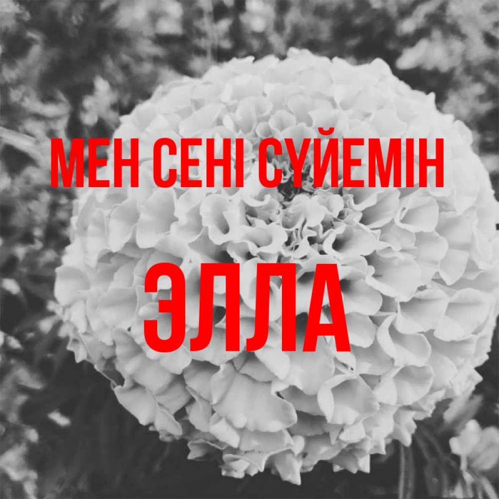 Күн сайын ашық хат с именем, Элла Мен сені сүйемін подпись Онлайн тегін жүктеп алу тілектері бар керемет карта 