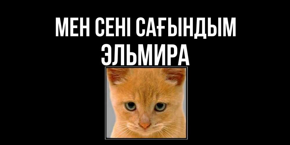 Күн сайын ашық хат с именем, Эльмира Мен сені сағындым открытки рыжий котенок скучает по тебе Онлайн тегін жүктеп алу тілектері бар керемет карта 