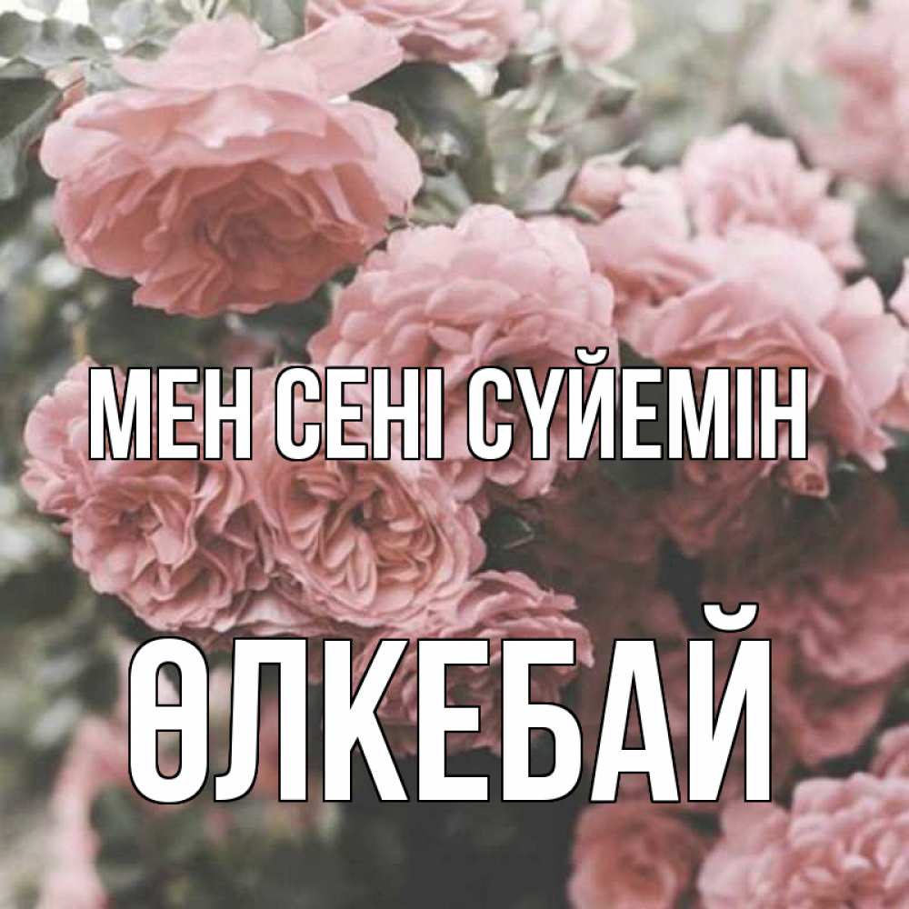 Күн сайын ашық хат с именем, ӨЛКЕБАЙ Мен сені сүйемін розы 3 Онлайн тегін жүктеп алу тілектері бар керемет карта 