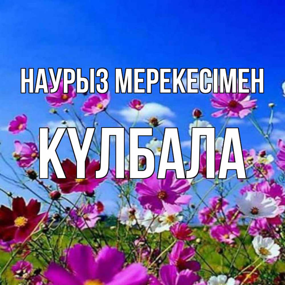 Күн сайын ашық хат с именем, Күлбала Наурыз мерекесімен цветы Онлайн тегін жүктеп алу тілектері бар керемет карта 