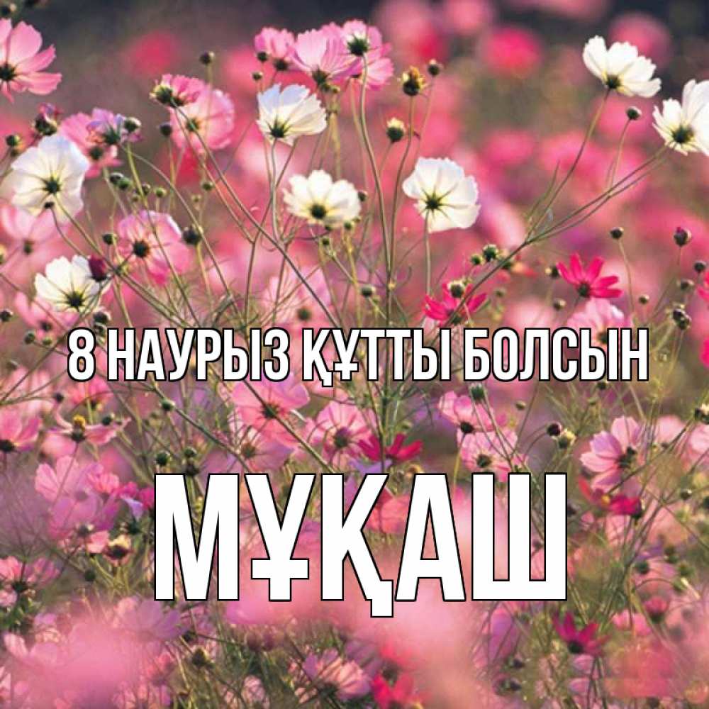 Күн сайын ашық хат с именем, Мұқаш 8 наурыз құтты болсын красиво 1 Онлайн тегін жүктеп алу тілектері бар керемет карта 