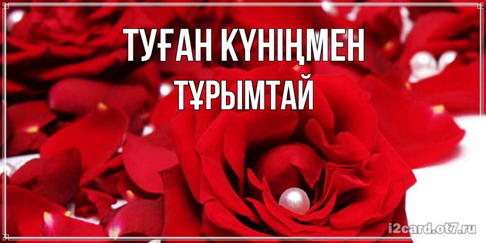 Күн сайын ашық хат с именем, ТҰРЫМТАЙ Туған күніңмен роза с жемчужиной на открытке для любимых Онлайн тегін жүктеп алу тілектері бар керемет карта 