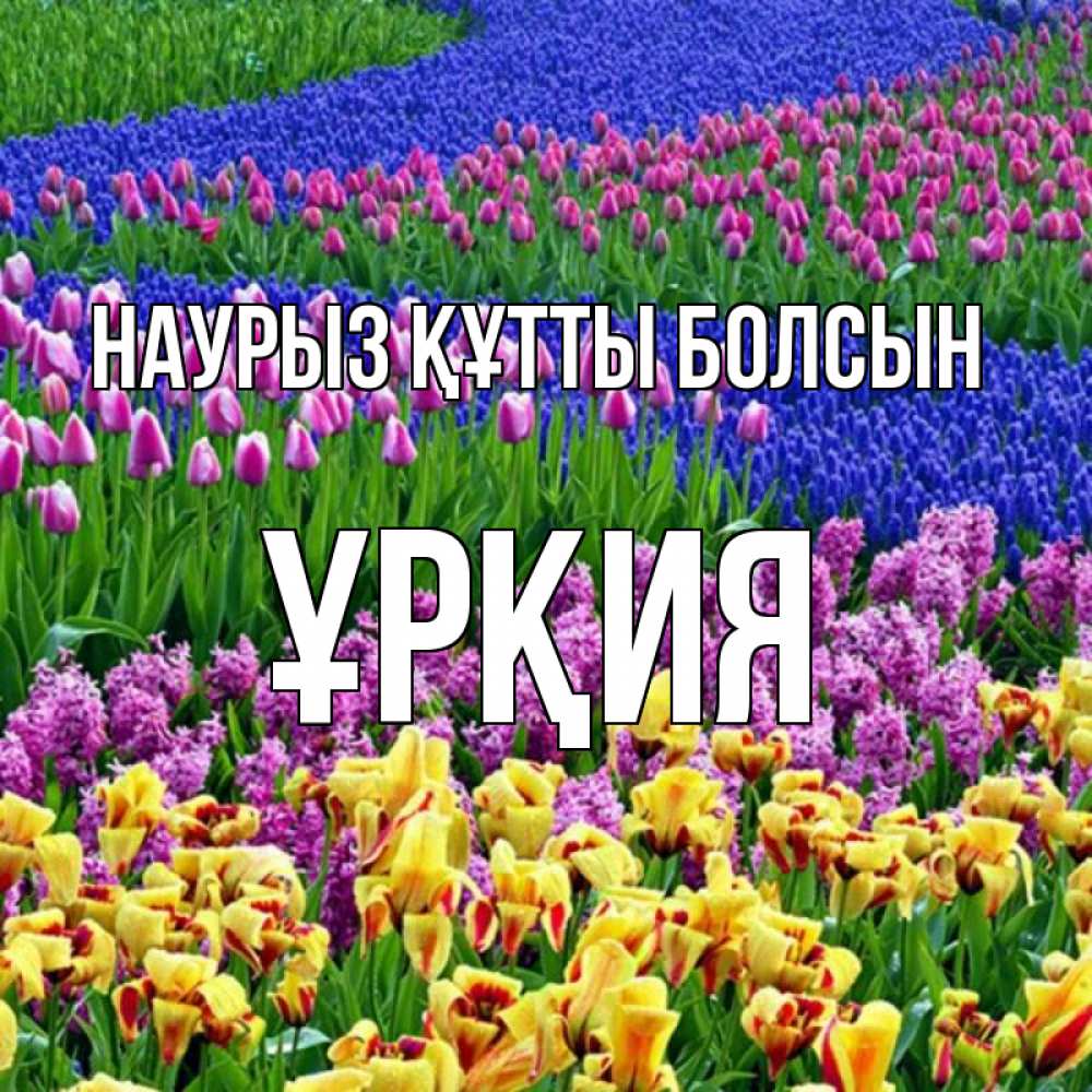 Күн сайын ашық хат с именем, ҰРҚИЯ Наурыз құтты болсын цветы Онлайн тегін жүктеп алу тілектері бар керемет карта 