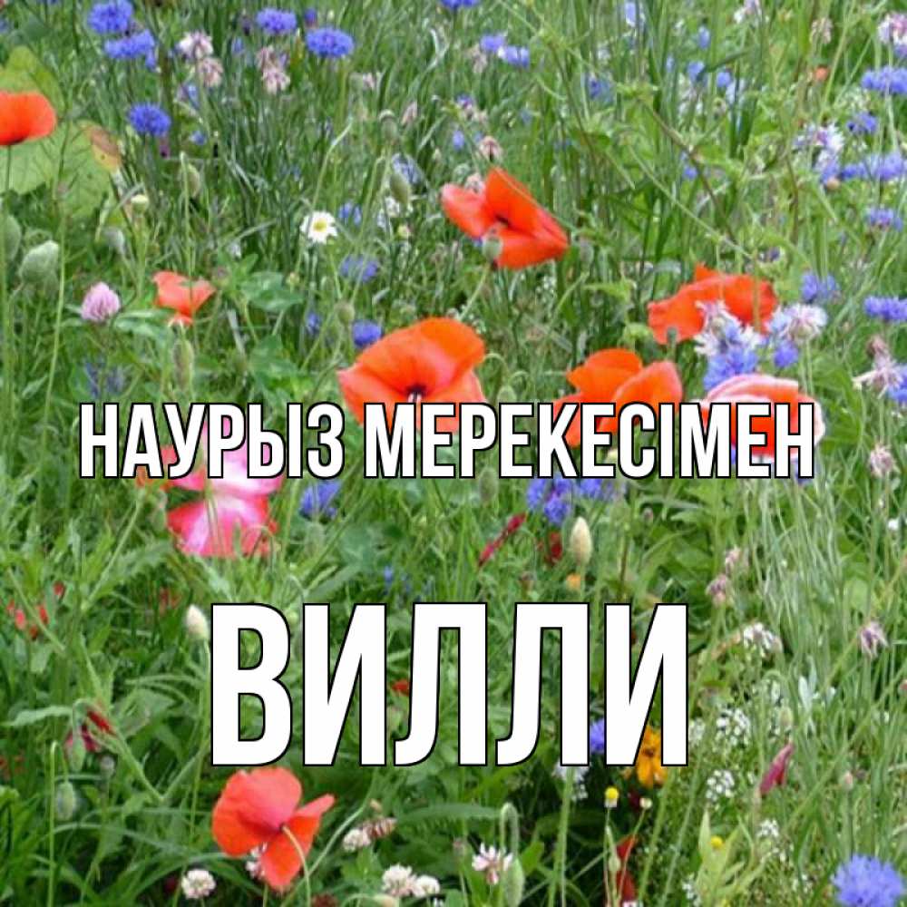 Күн сайын ашық хат с именем, Вилли Наурыз мерекесімен праздник весны наурыз супер открытка Онлайн тегін жүктеп алу тілектері бар керемет карта 