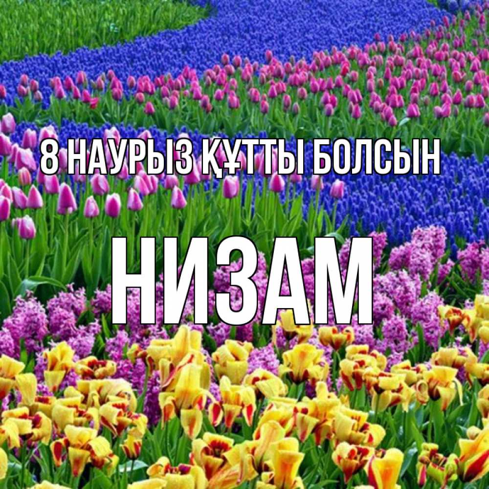 Күн сайын ашық хат с именем, НИЗАМ 8 наурыз құтты болсын цветы Онлайн тегін жүктеп алу тілектері бар керемет карта 